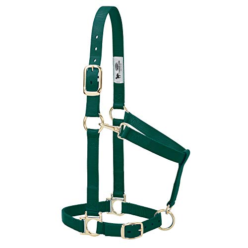 Weaver Leather Basic Adjustable Nylon Halter, Hunter Green, 1" Average Horse