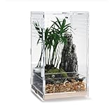 WBHONGHUI Transparentes Terrarium für Reptilien, Acryl, mit Riegel, perfekt für Amphibien und Wirbellose wie Spinnen, Frösche usw., horizontaler oder vertikaler Stil (vertikales Holz, klein)