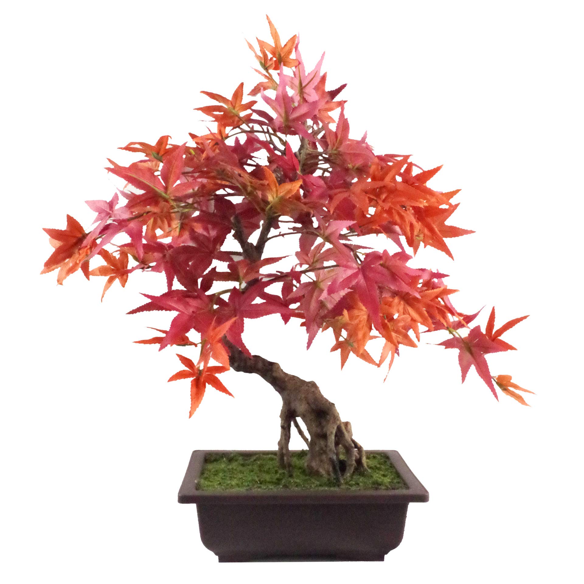 Leaf Künstlicher Baum, Blätter, 50 cm, Kunststoff, Bonsai aus Rotem Ahorn, 60 cm