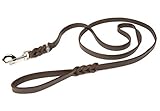 CopcoPet - Fettlederleine 2,5 m x 12 mm, Braun, Hunde-Leine aus Leder mit verchromtem Karabiner, geflochtene Hunde-Führleine Leder