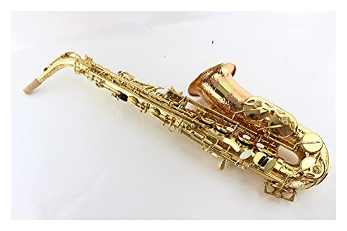 Altsaxophon Phosphor Kupfer Gold Lack E Flat Altsaxophon Musikinstrument Mit Koffer