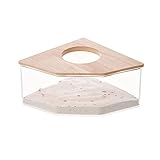 ASHLUYAK Hamster Sand Badezimmer,Hamster Sandbad Sandkasten Toilette mit Schaufel Sand Trockenbad Container für Chinchilla, Goldene Bären, Gerbil (B)