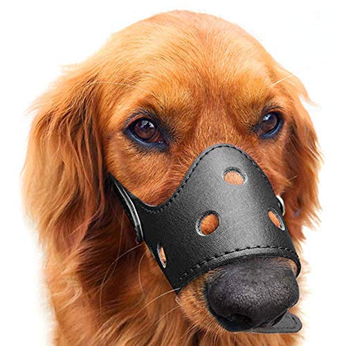Bequemer Mundschutz für Hunde von TRoki: Sicheres Beißen, Bellen und Fressen