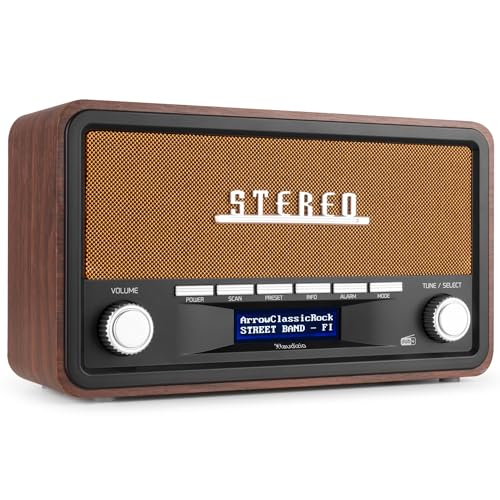 Audizio Foggia, Retro Radio, DAB Plus Radio, Bluetooth, Alarmfunktion, Radiowecker, Nostalgie Radio, UKW, Batterie und Netzbetrieb, 20 Speicherplätze, AUX, Küchenradio Vintage, Kupfer Orange