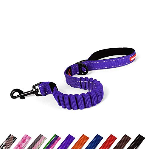 EzyDog Hundeleine für Große, Mittelgroße Hunde - Elastische Leine mit Bungee Ruckdämpfer - 'Zero Shock' Leine für Hunde - Hunde Leine Stabil, Reflektierend (64cm, Violett)