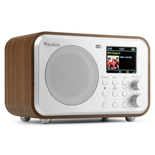 Audizio Milan DAB Radio mit Bluetooth, 10 Stunden Akku Radio 2000 mAh, Radiowecker mit Sleeptimer, Line-Out, UKW, Autosuche, 40 Speicherplätze, Mobiles Digital Radio DAB Plus, Küchenradio, Silber