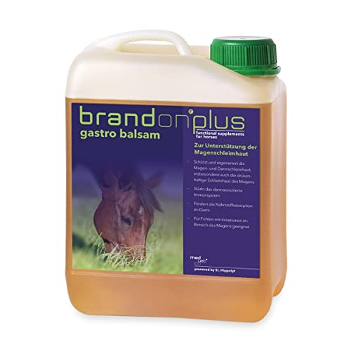 St. Hippolyt Brandon Plus GastroBalsam 2,5 L Magen-Darmschleimhaut Balsam