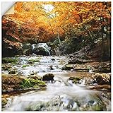 ARTland Wandbild selbstklebend Vinylfolie 50x50 cm Wanddeko Wandtattoo Herbst Landschaft Natur Wald Wasserfall Fluss T5TE