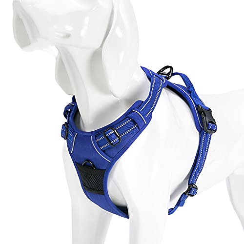 Reflektierendes Nylon-Hundegeschirr, für alle Wetterbedingungen, V-f?rmig, verstellbar, Sicherheitsleine für Haustiere, S43-56 cm Brustumfang, K?nigsblau