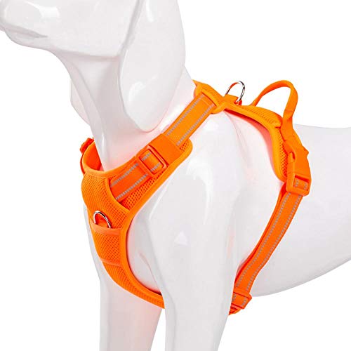 NX Pet Hundegeschirr, atmungsaktive Netzmatte, Outdoor-Sport, nicht ziehbar, verstellbares Geschirr, für mittelgroße und große Hunde, S43-56 cm, Brustumfang, Orange