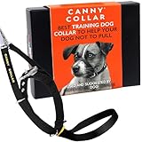 Canny Dog Collar Black Größe 3