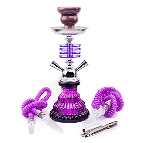 QZH Shisha Set mit 2 Schläuchen 11,4" Premium Portable Mini Shisha Komplettset Glasvase