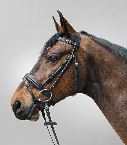 STAR WALDHAUSEN Trensenzaum Diamond Warmblut, schwarz