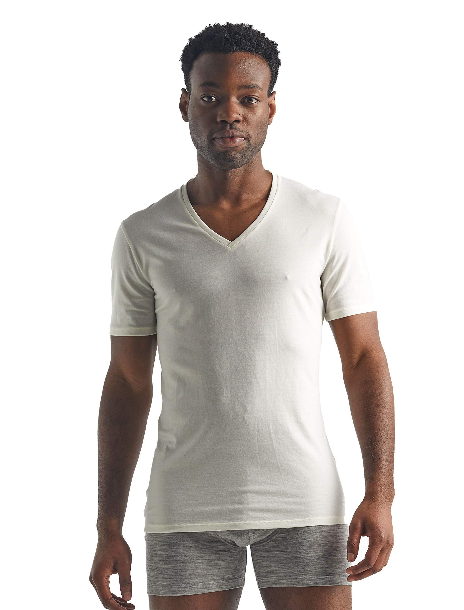 Icebreaker Merinowolle Herren Unterwäsche - Anatomica T-Shirt mit V-Ausschnitt | Merino Shirt | Wandershirt | Merino Shirt | Merino Unterhemd | Merino Tshirt - Snow, M