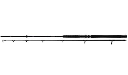 Daiwa Powermesh Catfish Spin 2.15m 160g